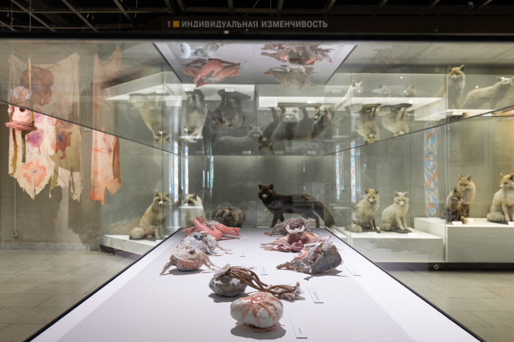 малые музеологи: о «музее искусственной истории» в дарвиновском музее